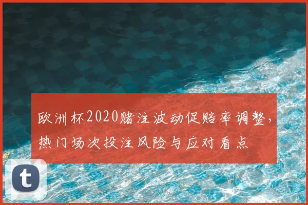 欧洲杯2020赌注波动促赔率调整，热门场次投注风险与应对看点